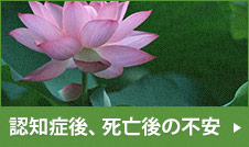 認知症対策、財産管理、遺言書